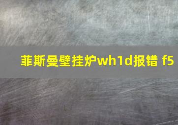 菲斯曼壁挂炉wh1d报错 f5